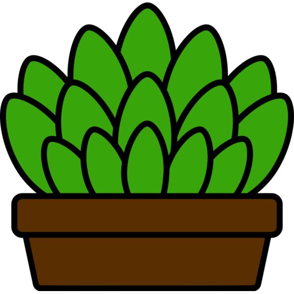 Succulent Plant Thumbnail
