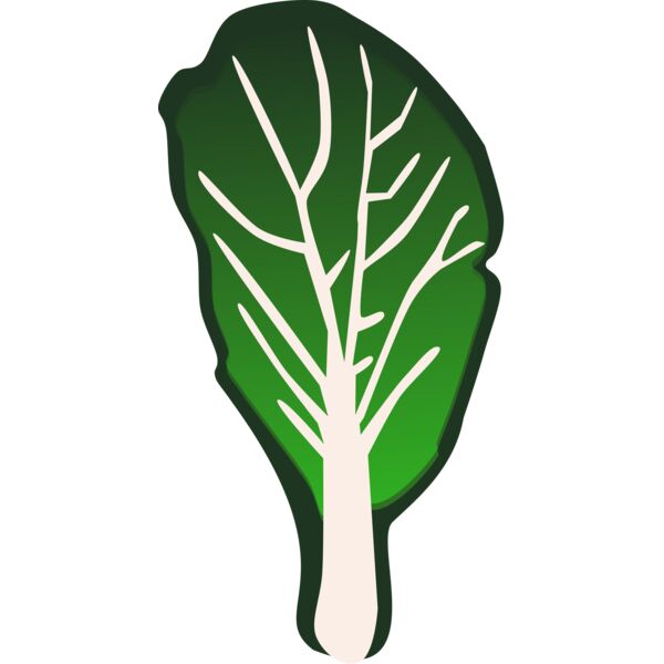 Vegetable Leaf Thumbnail