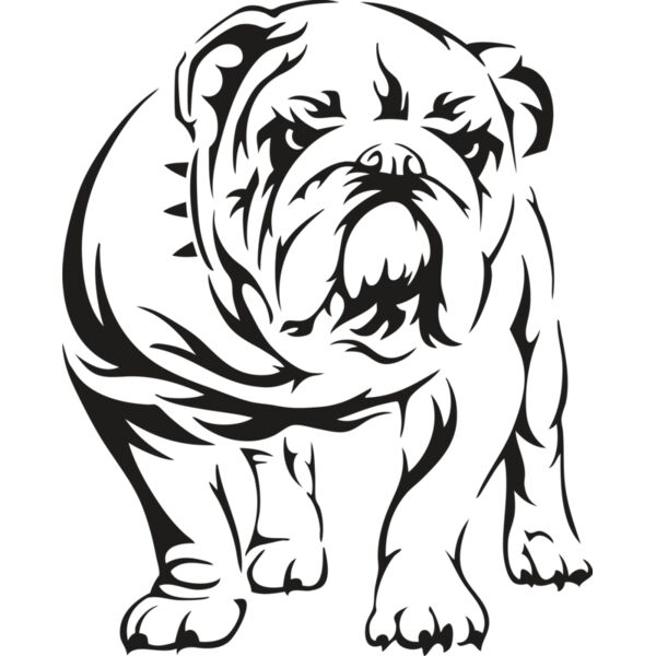 bulldogtrib Thumbnail