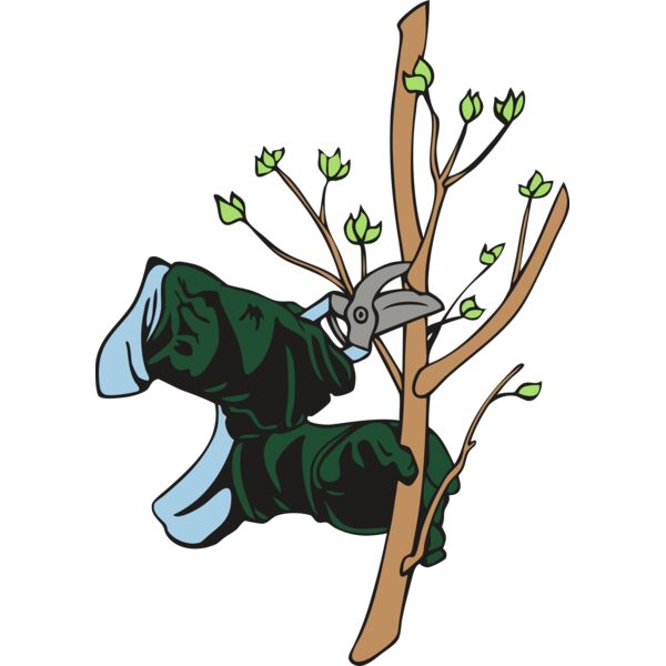 landscapeD25 Thumbnail