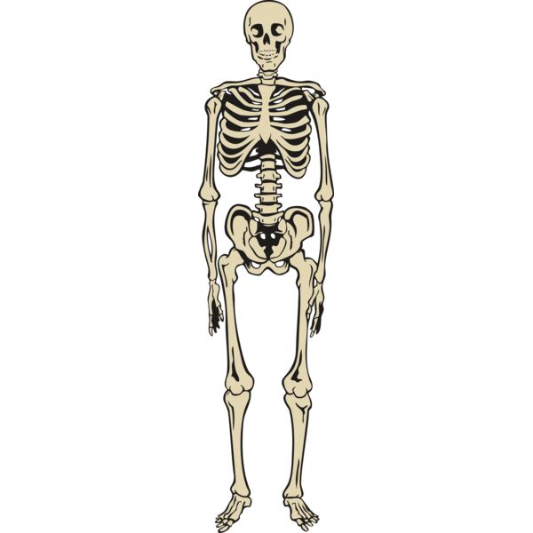 Skeletonj020 Thumbnail