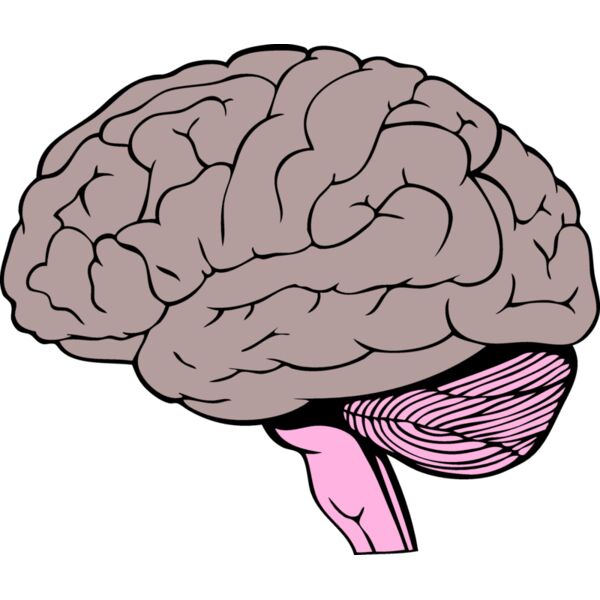 BrainC001 eps Thumbnail