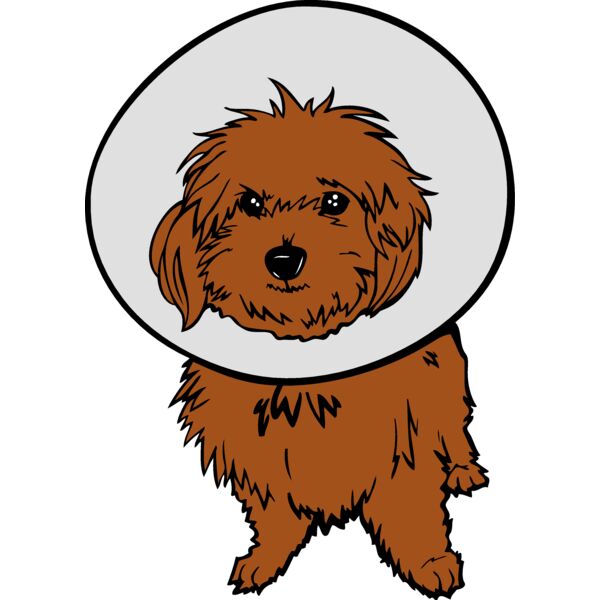 puppyM06 eps Thumbnail