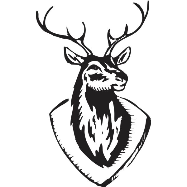 MNTEDDEER Thumbnail