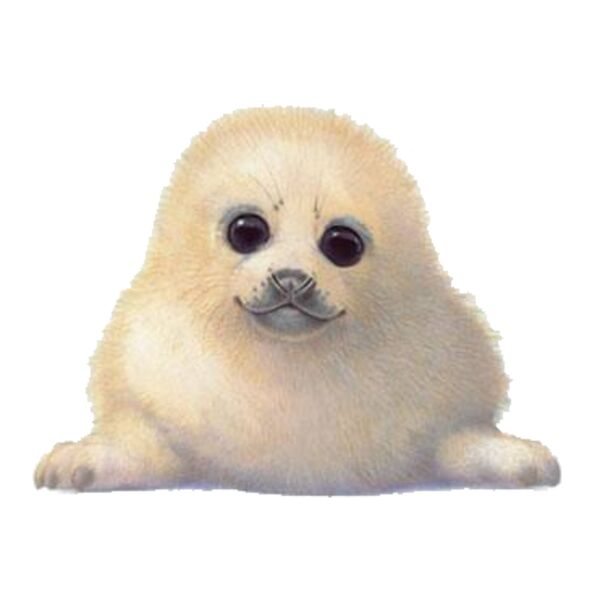 Baby Seal Thumbnail