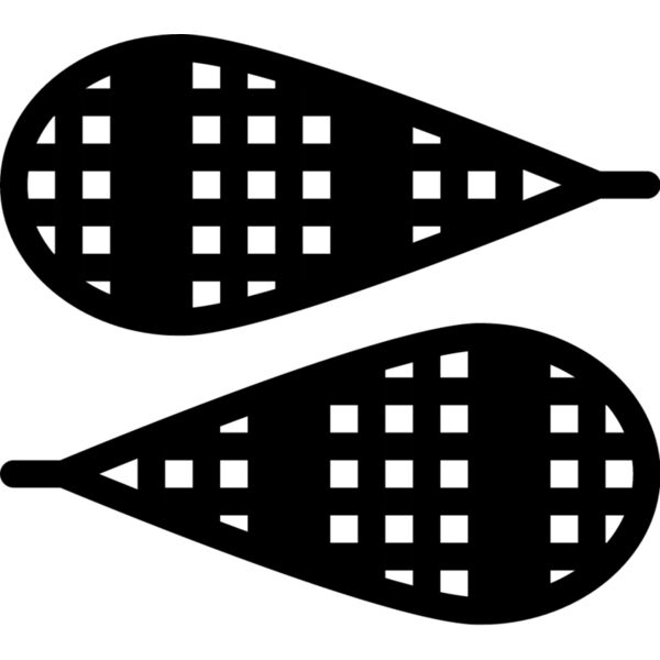 Snow Shoes1 Thumbnail