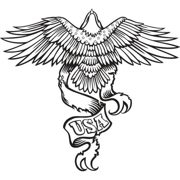 USA Eagle7 Thumbnail