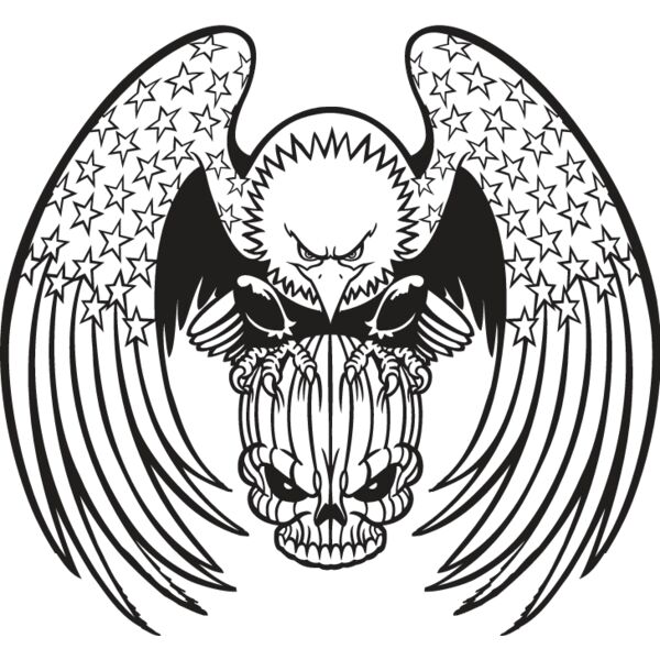 USA Eagle12 Thumbnail