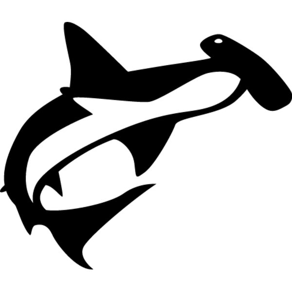 Hammerhead Shark1 Thumbnail