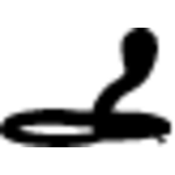 Snake Silhouette14 Thumbnail