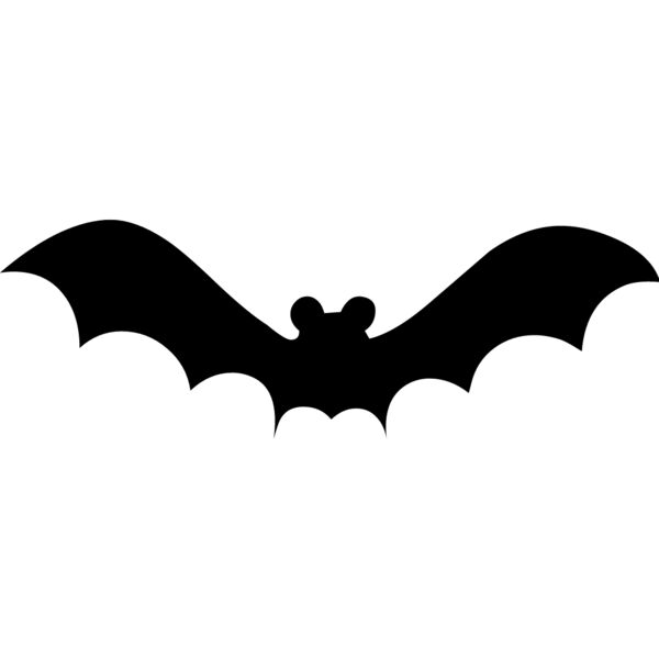 Bat3 Thumbnail