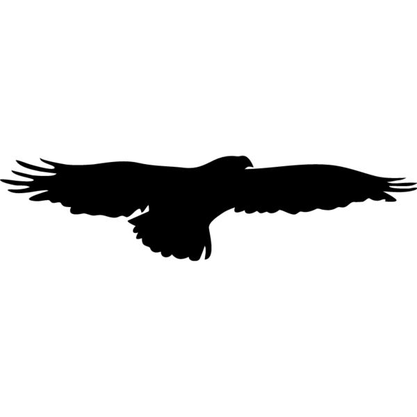 Flying Eagle Silhouette2 Thumbnail