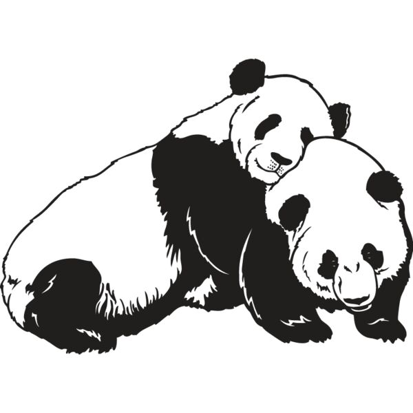 Panda Bear2 Thumbnail