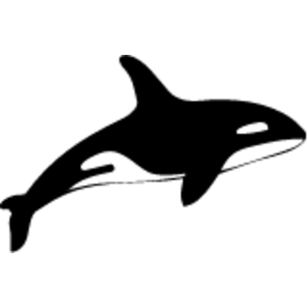 Killer Whale4 Thumbnail