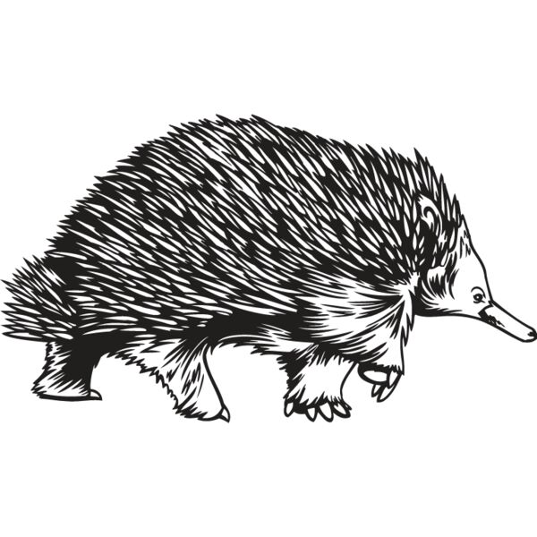 Porcupine1 Thumbnail
