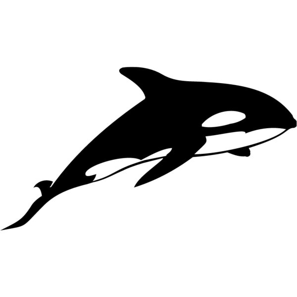 Killer Whale1 Thumbnail