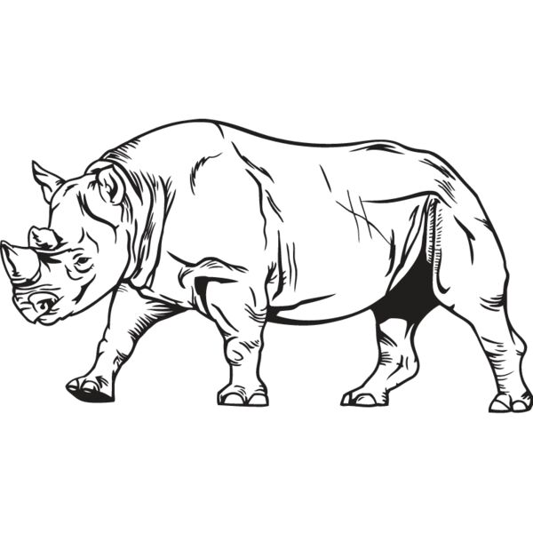 Rhinoceros1 Thumbnail