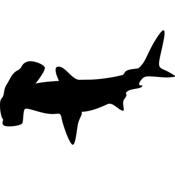 Hammerhead Shark3 Thumbnail