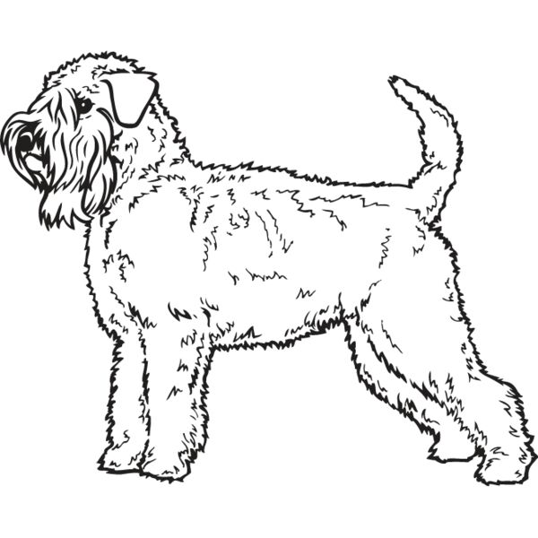 Wheaton Terrier Thumbnail