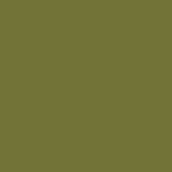Military Green   7749C Thumbnail
