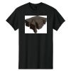 Heavy Cotton ™ 100% Cotton T Shirt Thumbnail