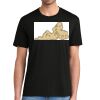 Super Soft Perfect Tri ® Tee Thumbnail