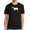 Super Soft Perfect Tri ® Tee Thumbnail