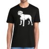 Super Soft Perfect Tri ® Tee Thumbnail