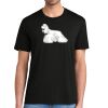 Super Soft Perfect Tri ® Tee Thumbnail