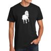 Unisex CVC Tee Thumbnail