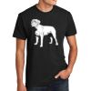 Unisex CVC Tee Thumbnail